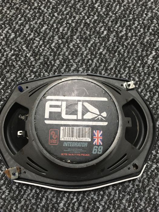 Динаміки яйця овальні пара FLI