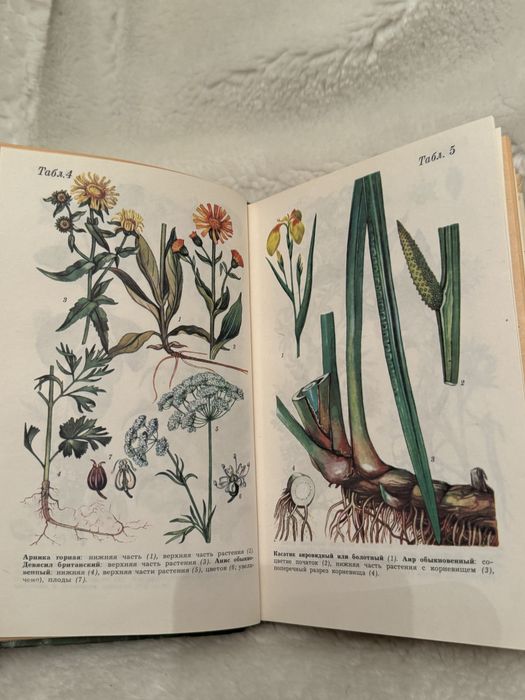 Д.С. Ивашин, ЗФ Катина справочник по заготовкам лекарственных растений