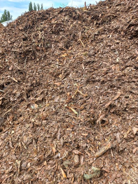 Skup zrębki trociny odpadów drzewnych