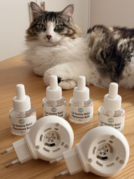 2 difusores + 4 recargas VELUNA para gatos