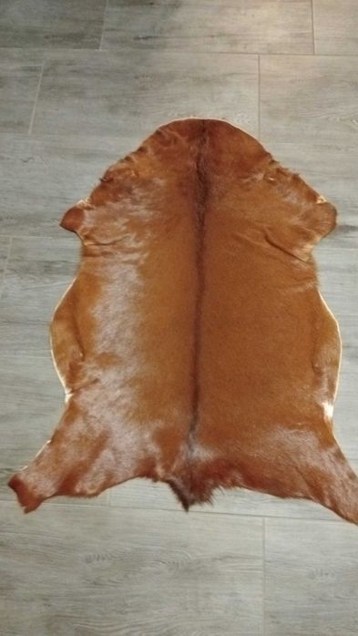 Skóry z kozy zapraszam do kupna