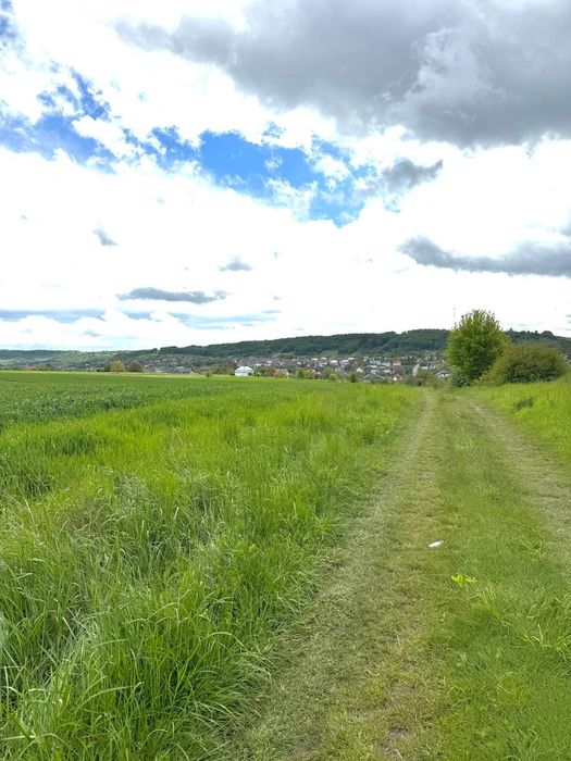 Продається земельна ділянка 4Га в селі Стрілки