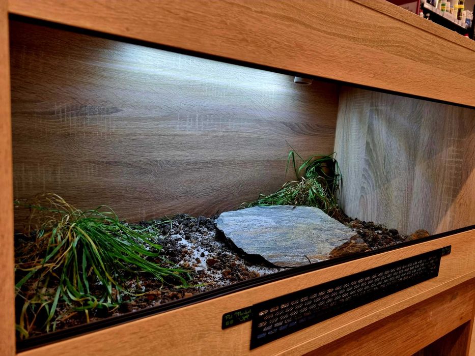 Terrarium 100x50x50 żółw grecki stepowy lądowy