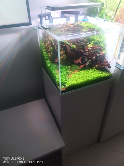 Móvel e aquário 35x35x30, completo