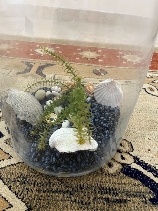 Aquário em Vidro com Decoração
