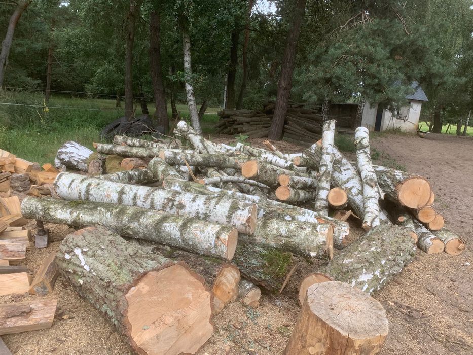 Brzoza do kominka/pieca