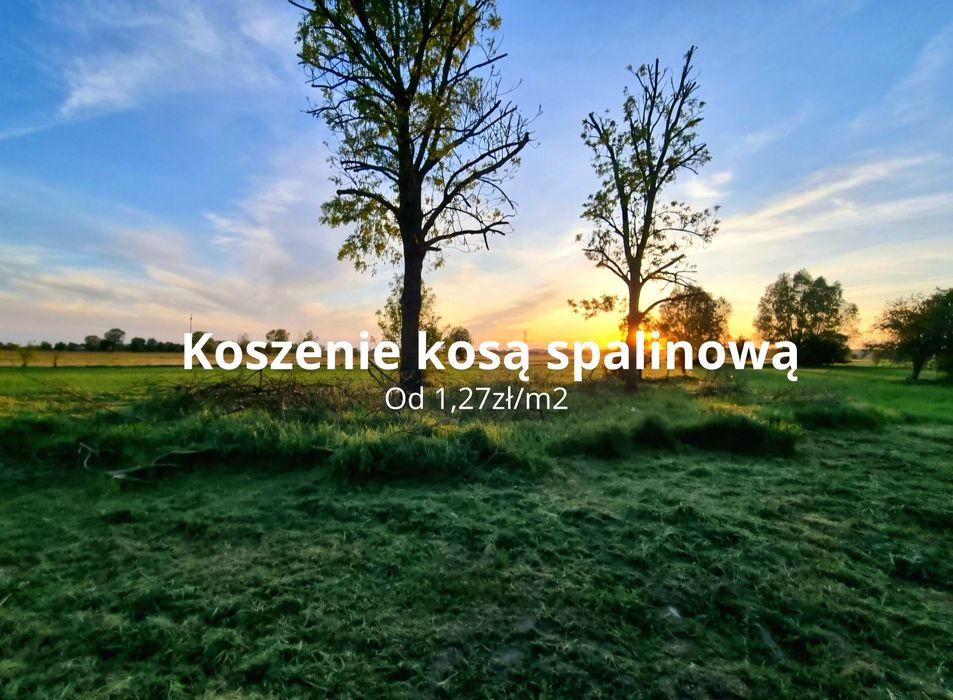 Koszenie kosą spalinową Ostrów Wielkopolski