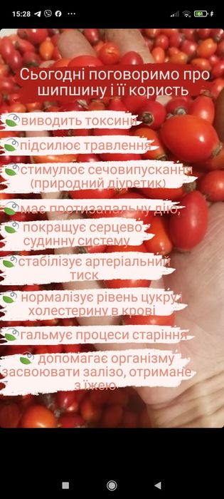 Продам шипшину сушену з Карпат