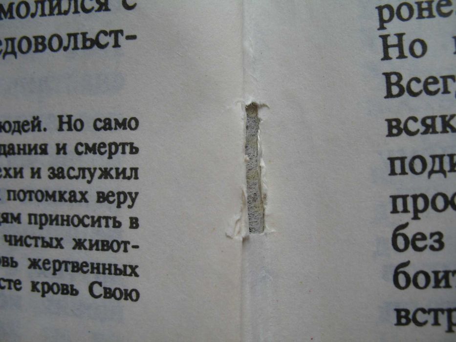 Biblia dla dzieci Język Rosyjski