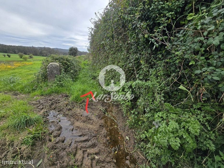 Terreno Agrícola  Terroso | 2.722m²