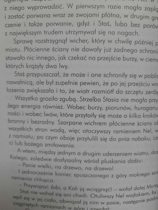 W pustyni i w puszczy Henryk Sienkiewicz
