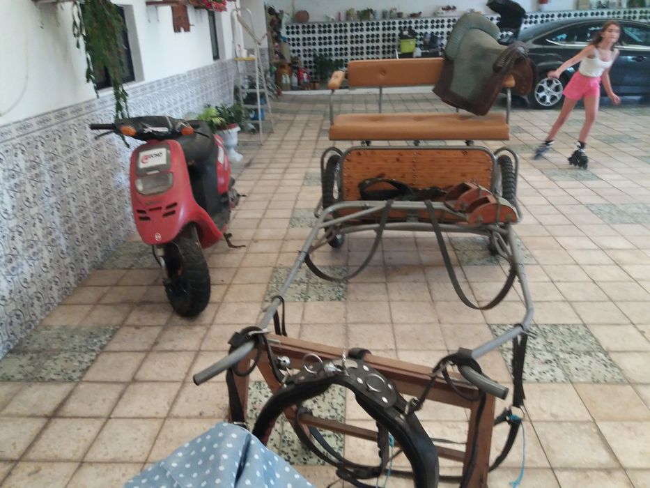 Charrete para venda