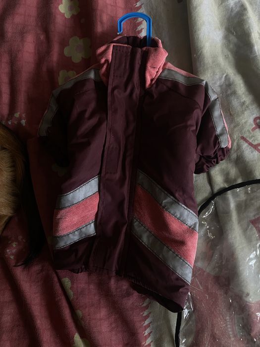 Костюм для собак