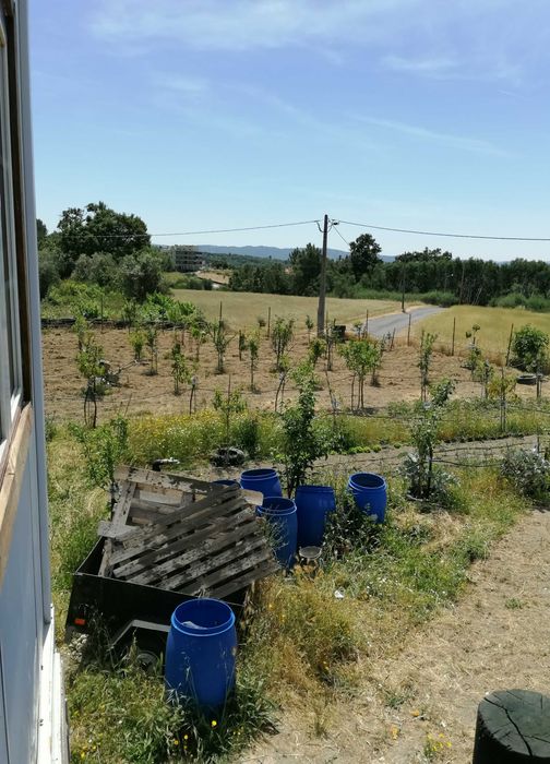 Vendo ou alugo – Terreno - Covilhã