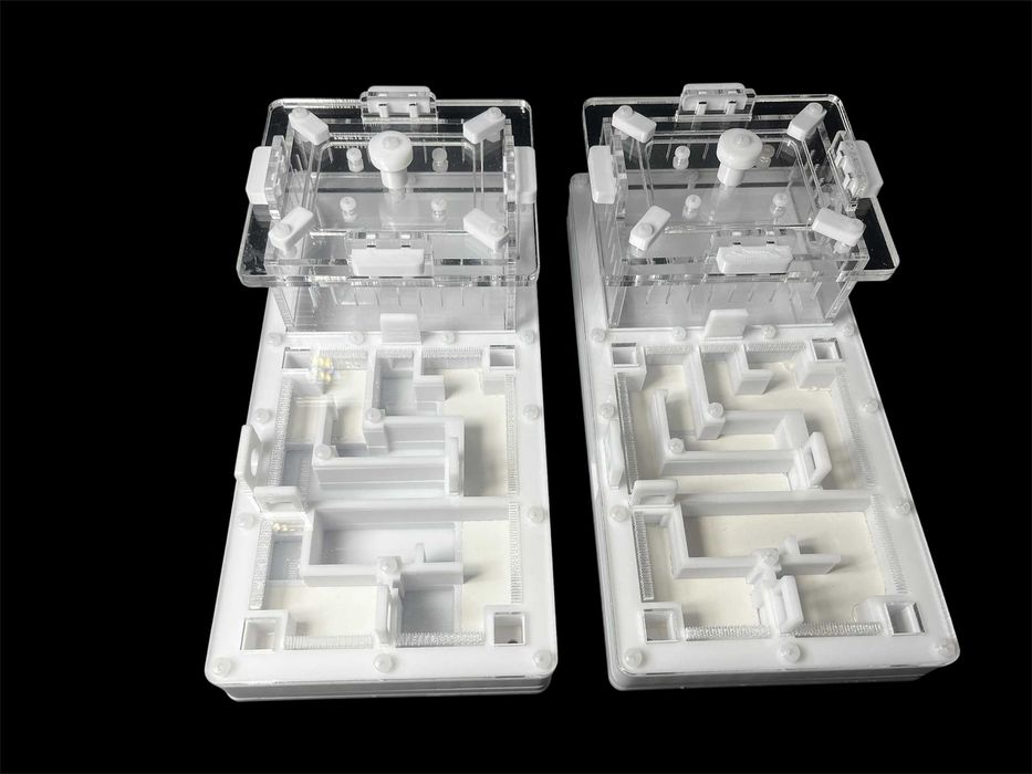 Мурашина ферма 220х110мм з гіпсом | Доставка по Україні, ЄС