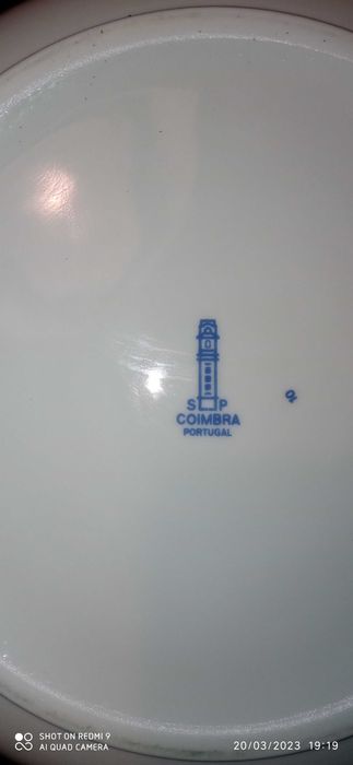 Terrina SP Coimbra (Miosótis)