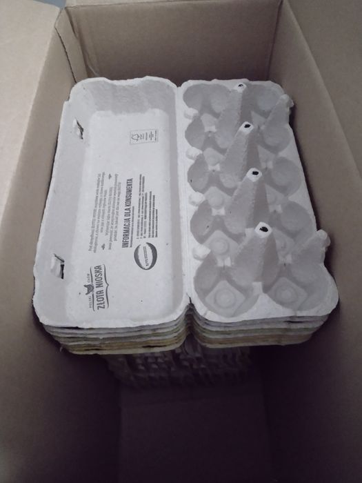 Wytłaczanki po jajkach 30 szt