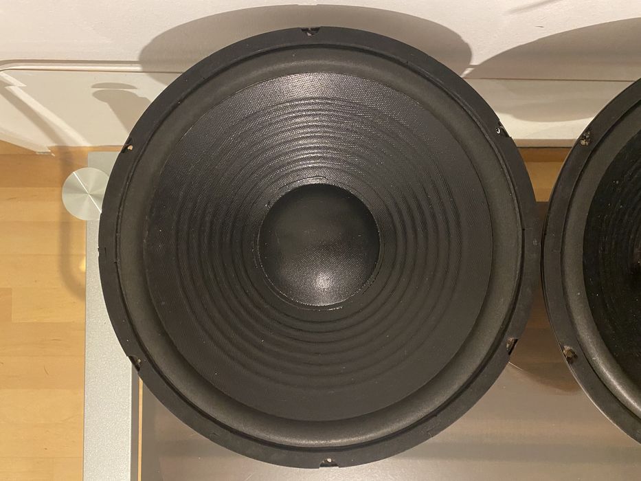 НЧ динаміки 300мм