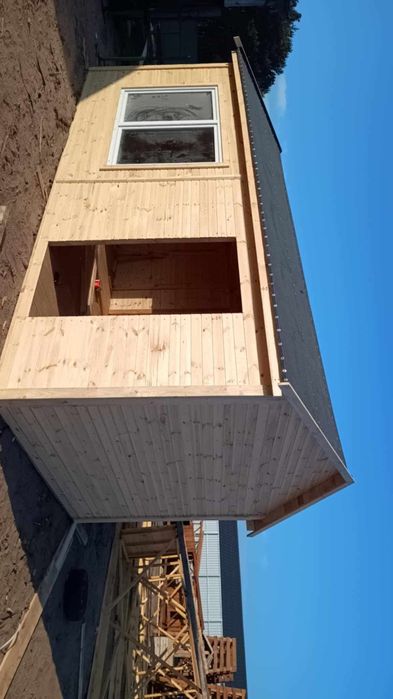 Gołębnik duży śliczny