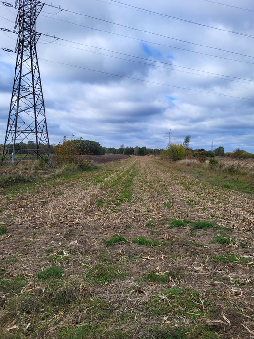 Działka na sprzedaż 8600m2
