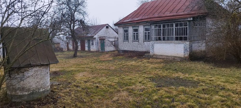 Продаж будинку в Черкаській області, с. Лебедин