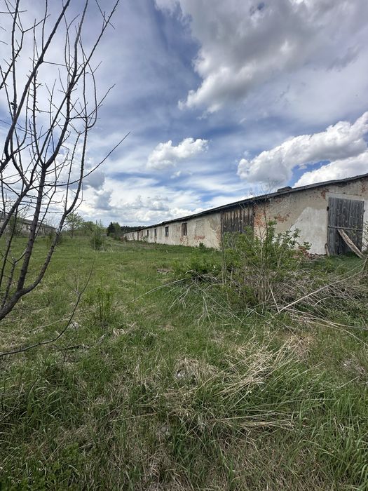 Продається Приміщення вільного призначення с. Залізці