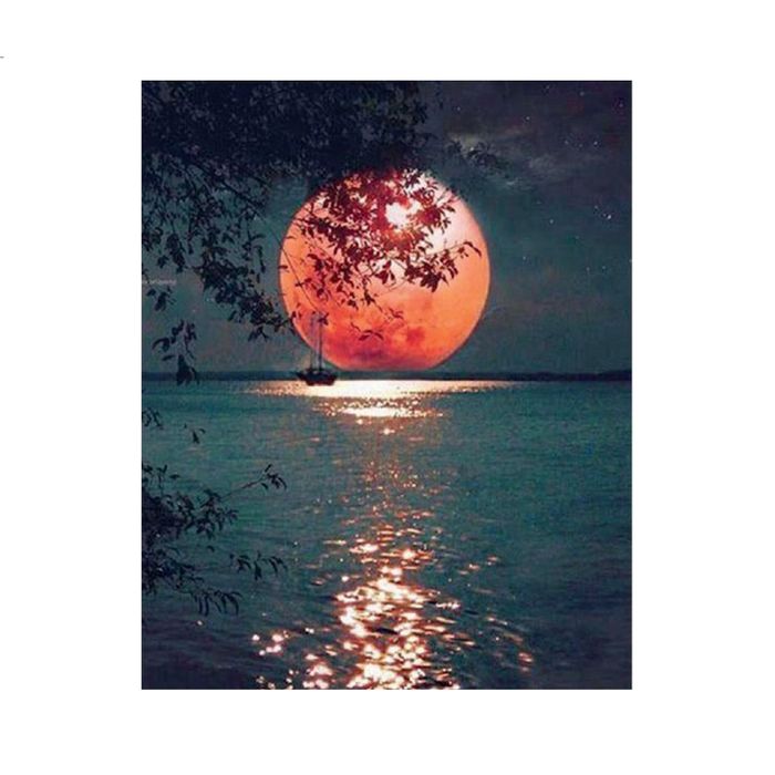 Diamond painting haft diamentowy  - pełnia (3317)