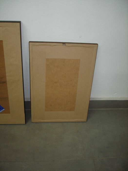 publicitario espelhado Raposeira