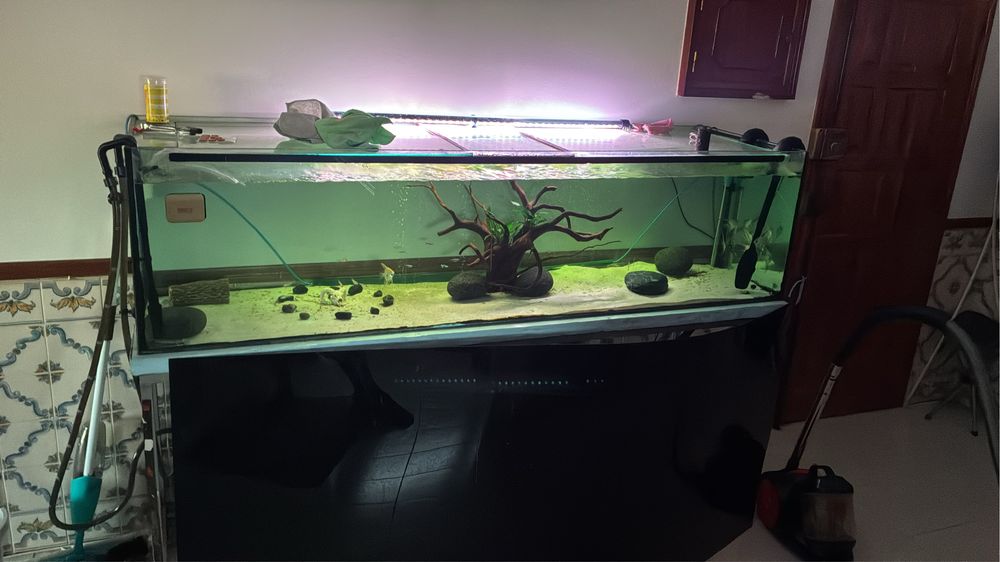 Aquario estrutura e equipamentos