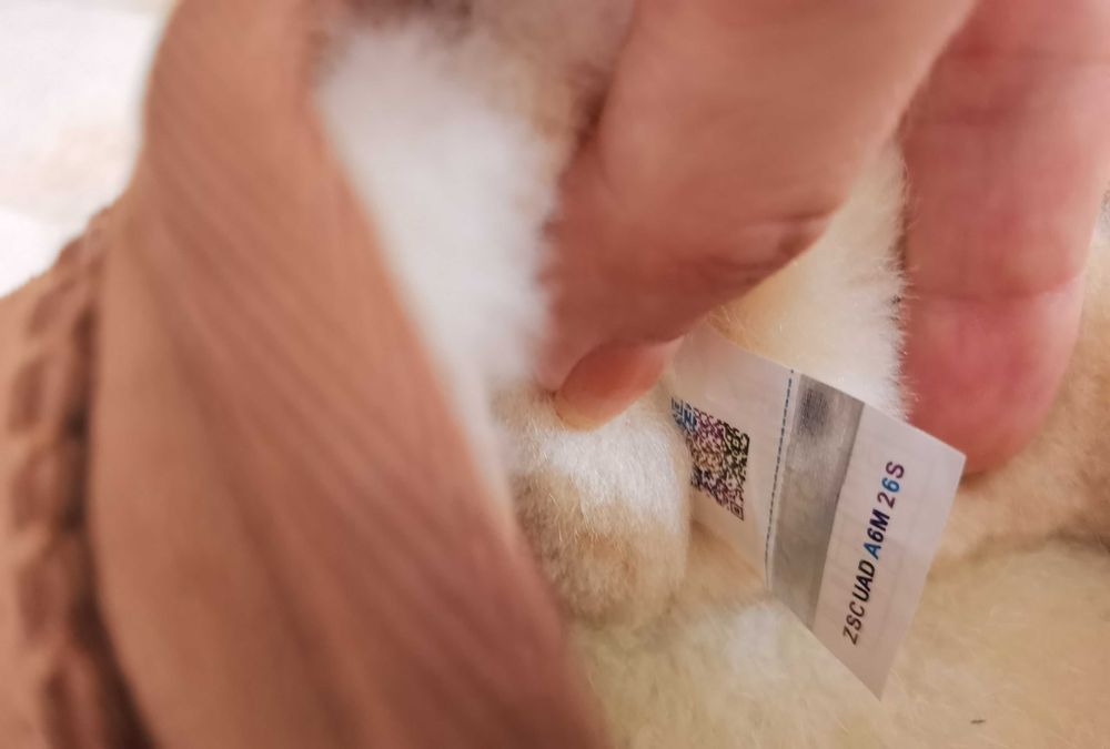 UGG  Australia slip-on camel