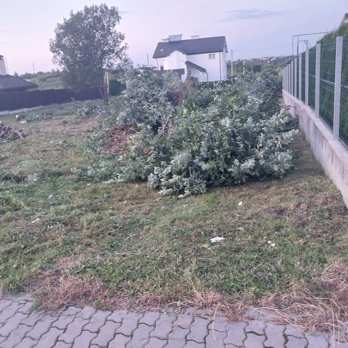 Зачистка територій Львівська область!