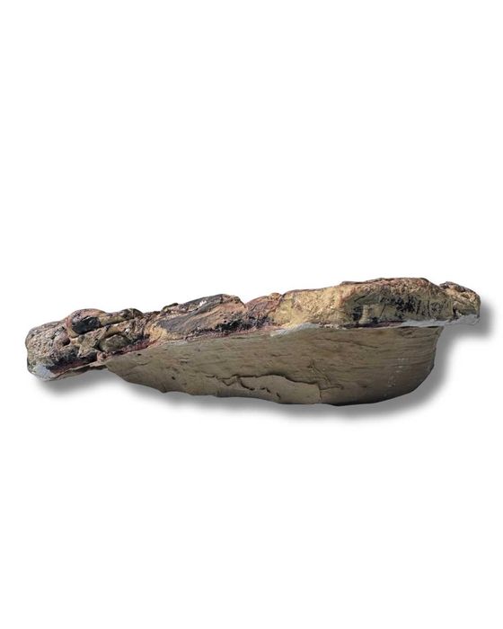 OCZKO WODNE BASEN do terrarium 22,5x18x6 cm. 01