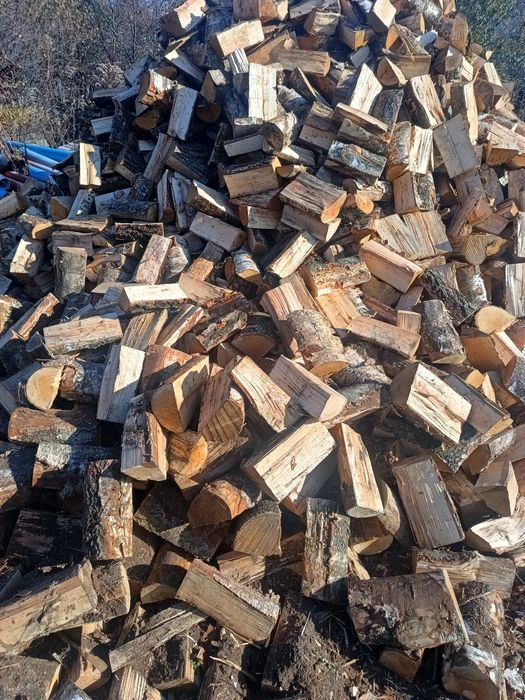 Drewno kominkowe opałowe