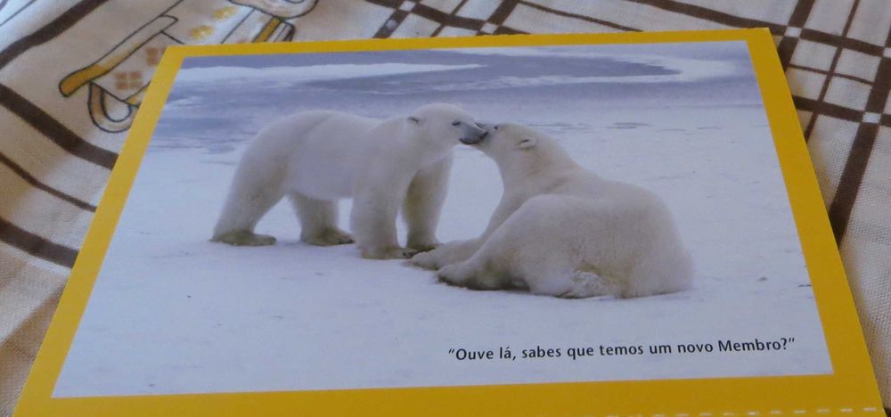 Passeio Viagem ao Mundo Maravilhoso dos animais  - 4 Unidades - Novos