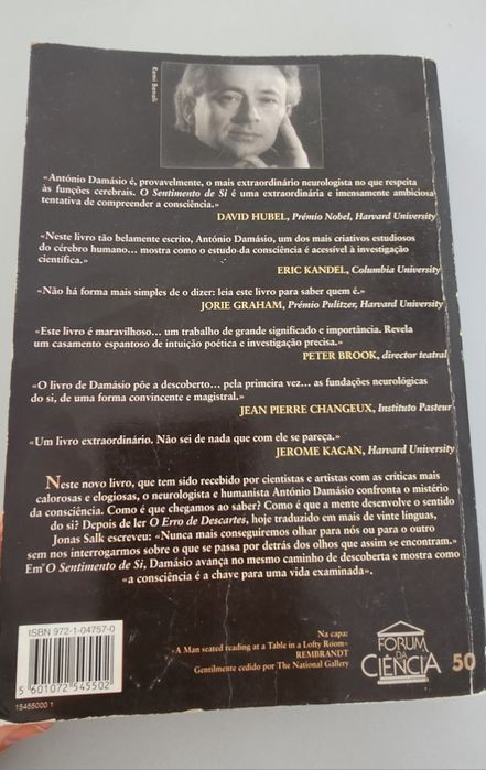 António Damásio, O sentimento de si
