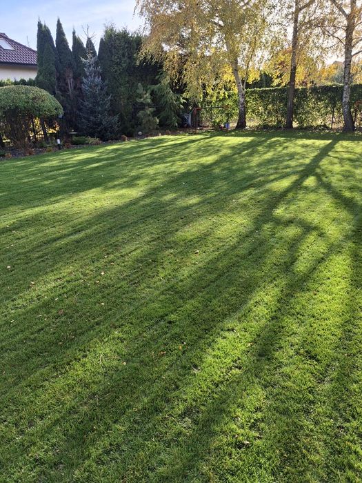 Usługi ogrodnicze, Uprawa glebogryzarką, rębakiem, wertykulacja