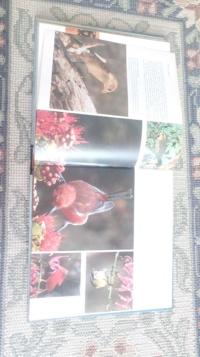 Enciclopédias Planeta Terra Vivo Historia terra Readers Digest