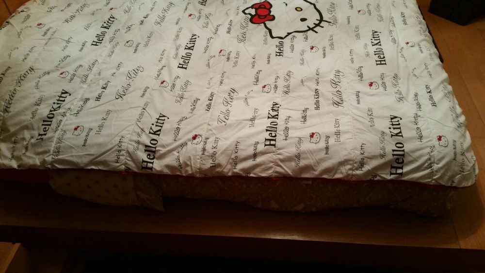 Edredon Hello Kitty Cama Solteiro + Almofada
