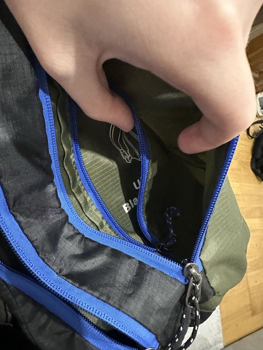 Сумка Patagonia.