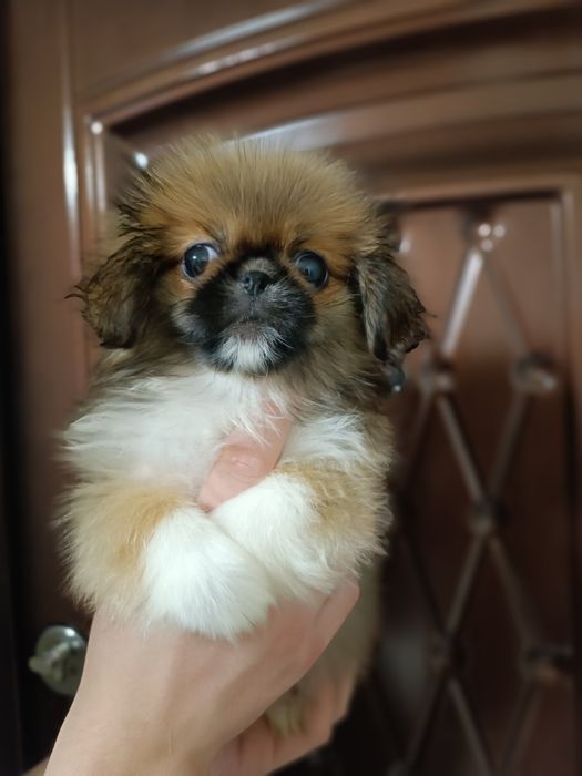 Радость ждёт именно Вас