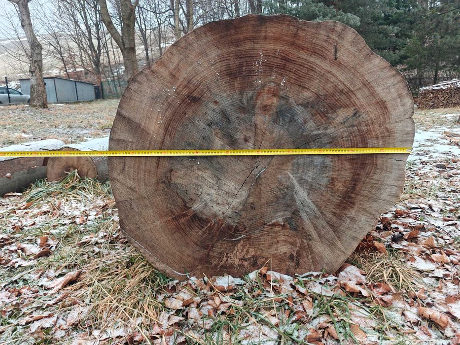 Grube plastry bukowe