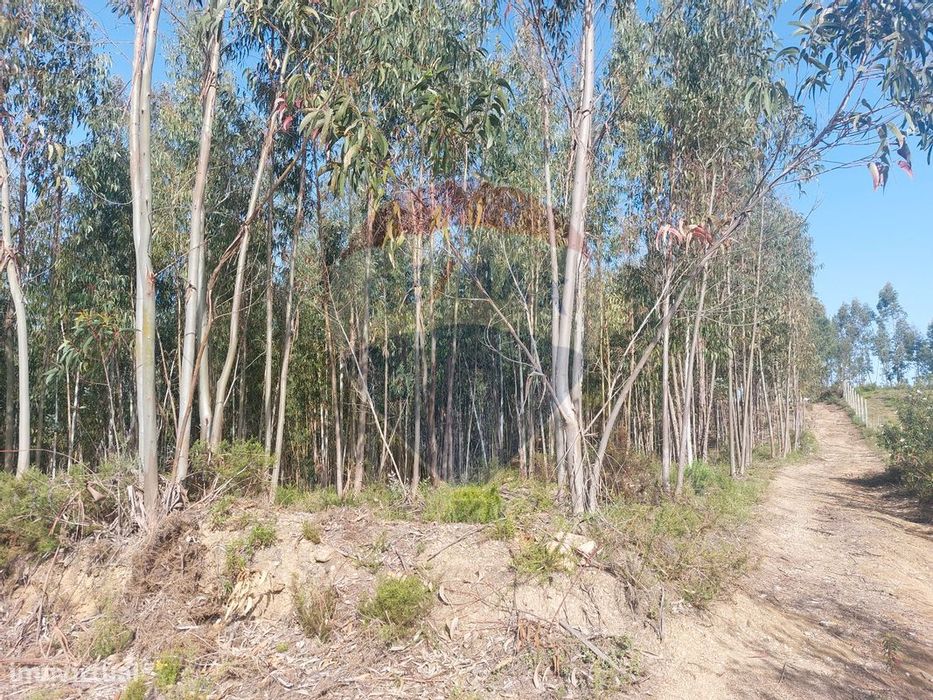 Terreno  para venda