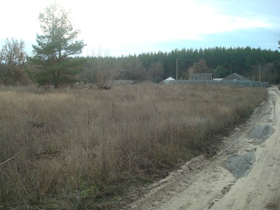 Ціну змінено!!! Продам земельну ділянку під будівництво в с. Чорнявка