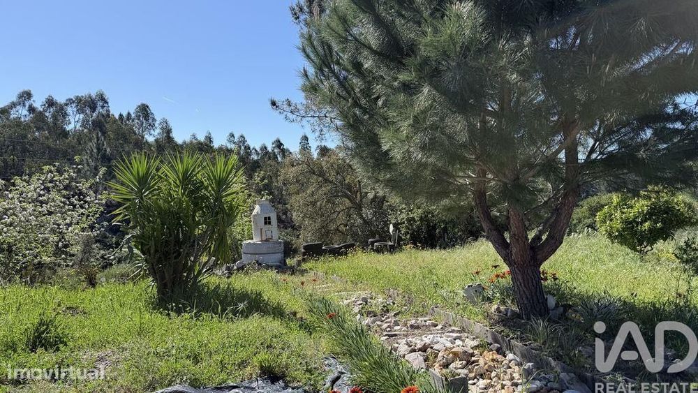 Terreno em Amiais de Baixo
