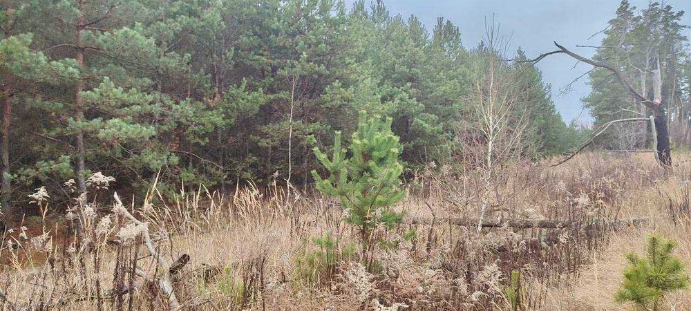 Земельний масив під базу відпочинку за дуже цікавою ціною!