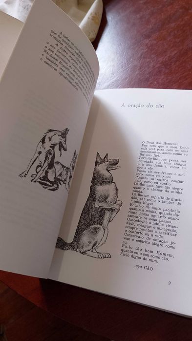 O Cão Militar - Coronel Costa Campos