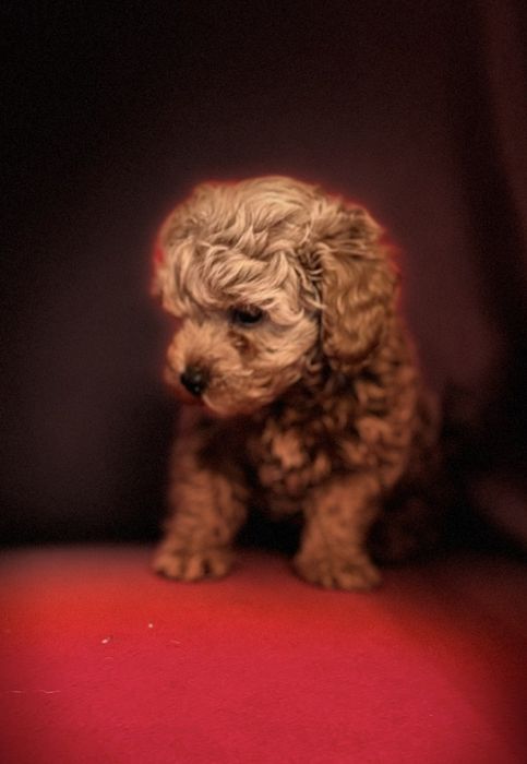 Девочка красотка Одесса