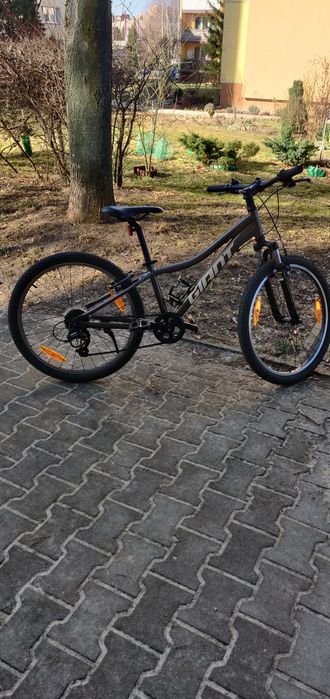 Rower giant xtc 24