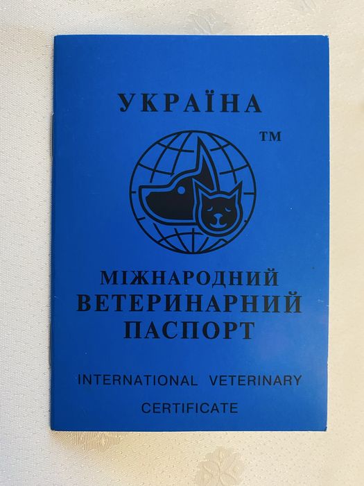 Алабай шукає наречену.Самець 2 роки.