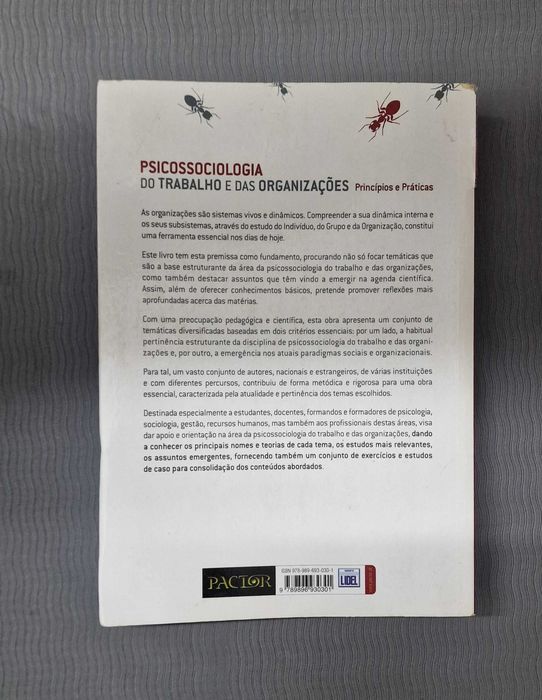 Livro Psicossociologia do Trabalho e das Organizações
